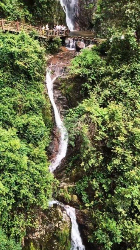 逃出国家公园