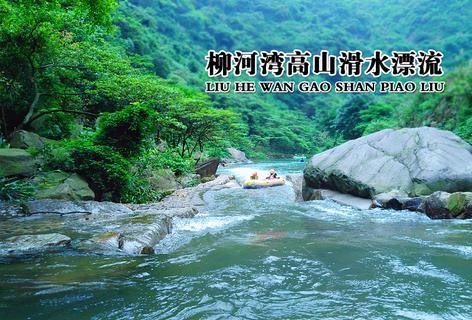 女子服药后变成“电音朵拉”